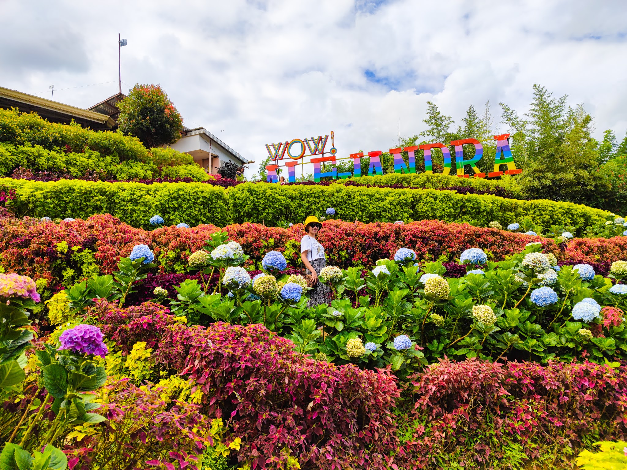 Alejandra The InstagramWorthy Flower Garden in Cebu The Pinoy Traveler