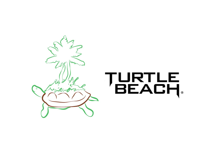graphic design class: turtle beach logo redesigns