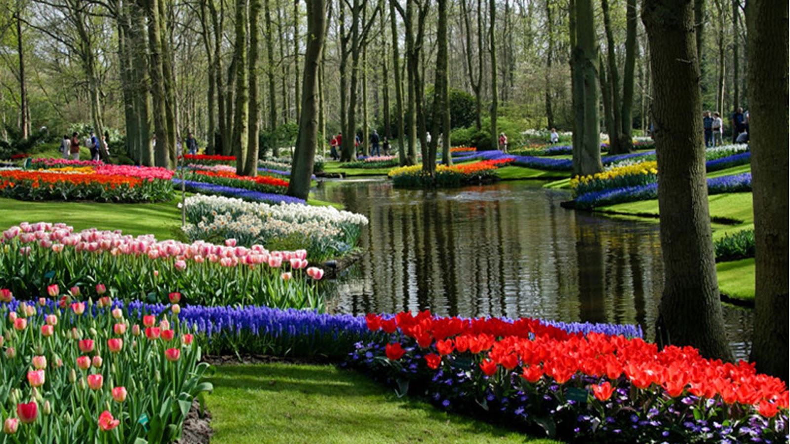 Amazing Places To Travel Ashikaga Flower Park Japan