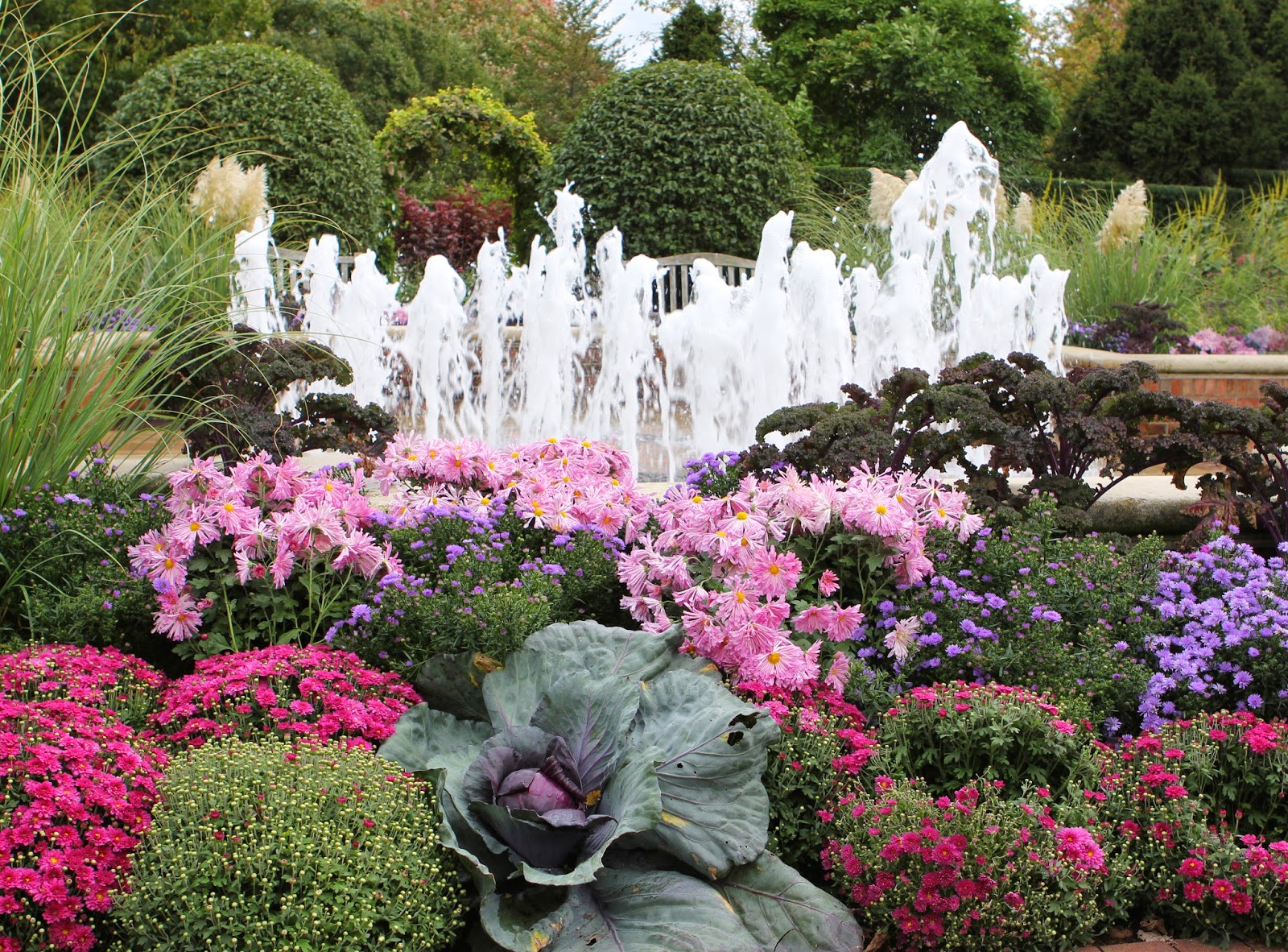 Romancing the home fall color at the chicago botanic gardens