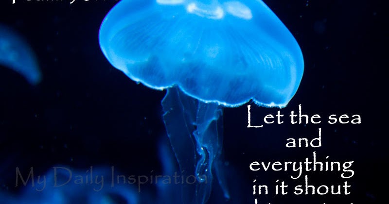 My Daily Inspiration Bible Verses my-daily-inspiration-bible-verses