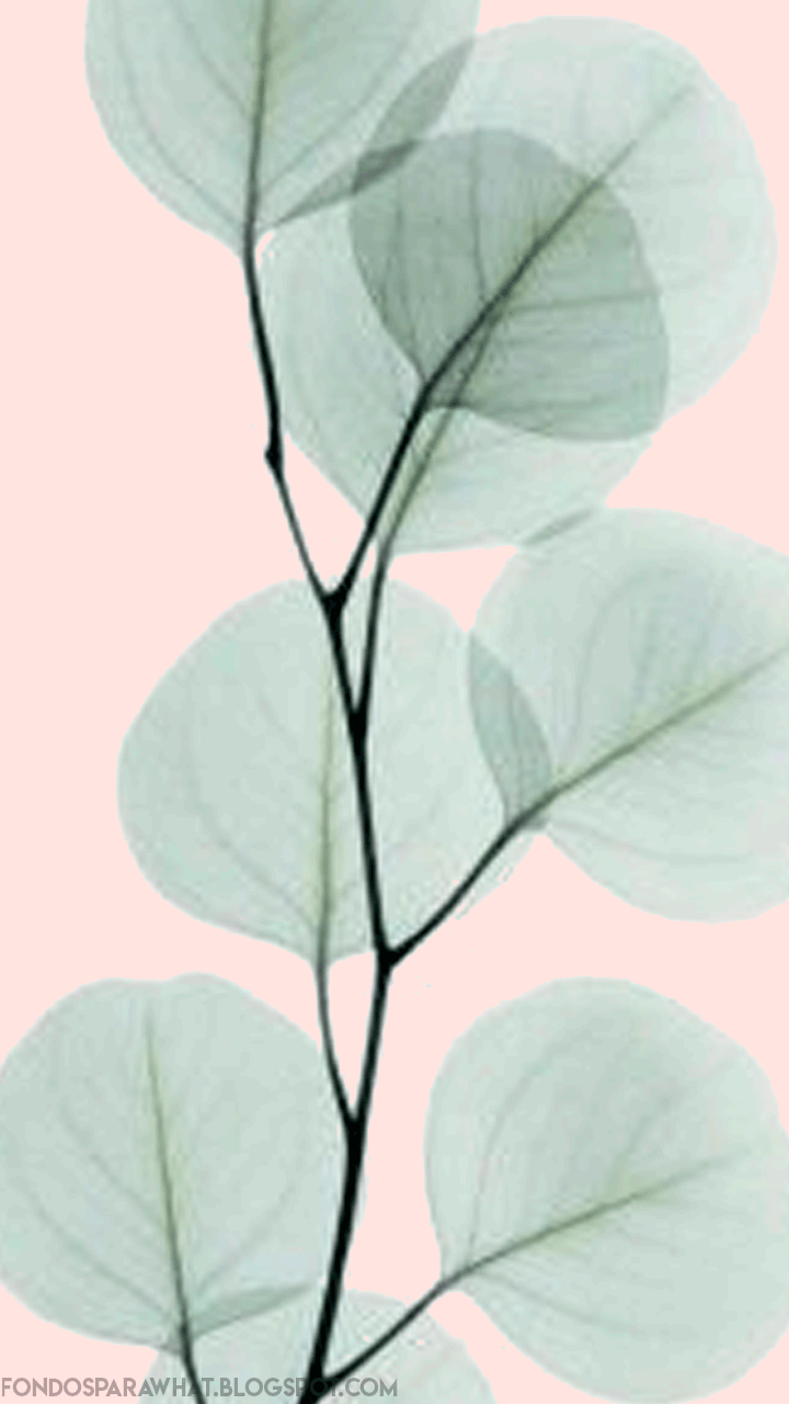 Fondos Para Whatsapp Fondos Para Whatsapp Estilo Tumblr Septiembre 2019 Me parecieron super bonitos<3<3 las imagenes originales son de una usuaria de weheartit, yo las edite y las converti en. fondos para whatsapp estilo tumblr