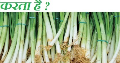 हरे प्याज के सेवन से होने वाले शारीरिक फायदे || Benefits Of Green Onion 