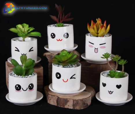 6 Home Decorating Ideas With Succulent Plant 6 Home Decorating Ideas With Succulent Plant