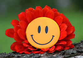Best Funny good morning sms Best Funny good morning sms