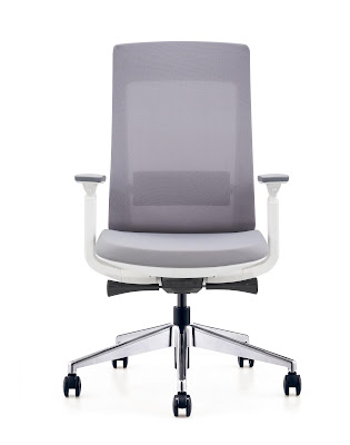 best ergonomic home office chair under 350