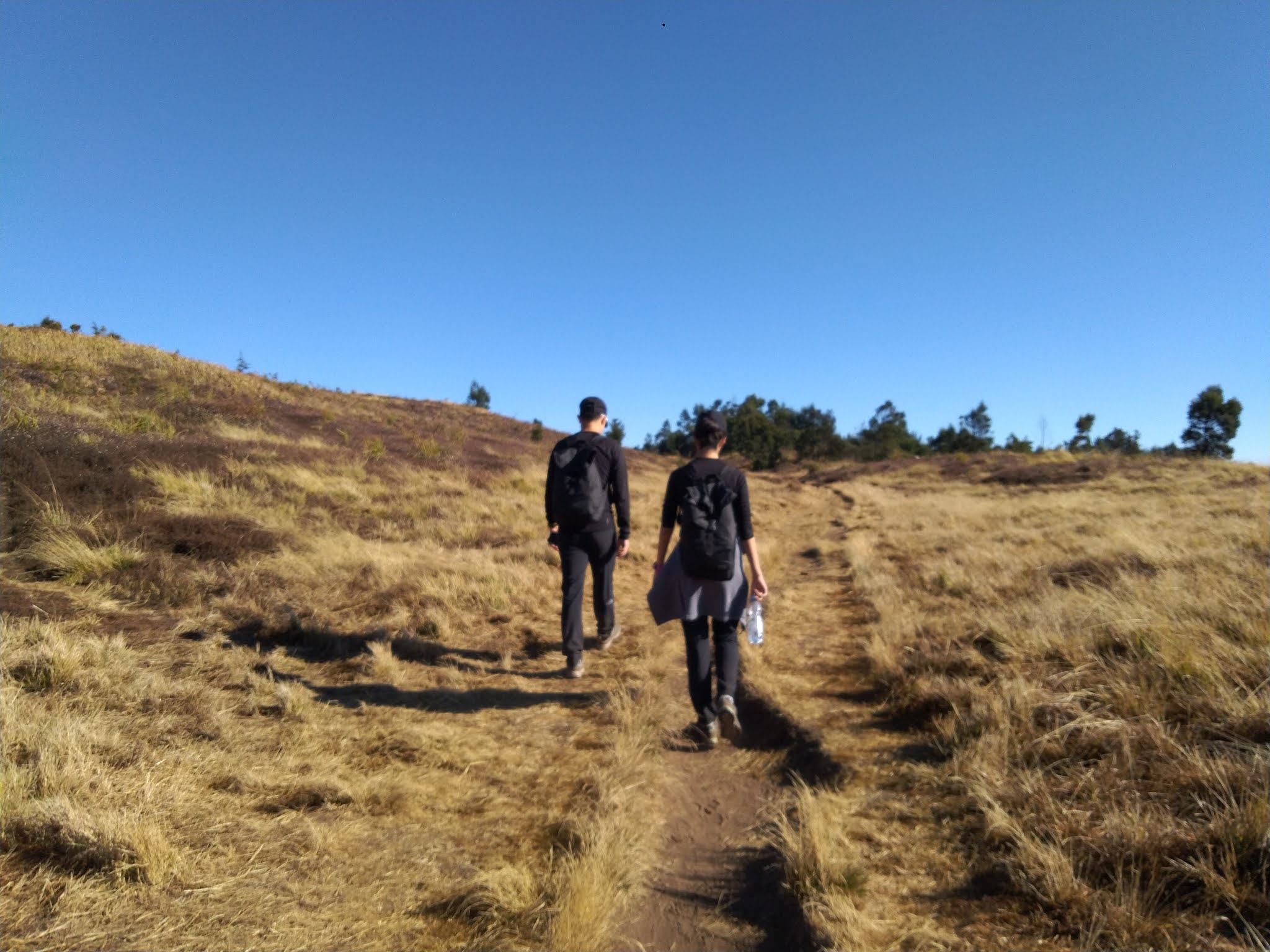 Pembukaan Gunung Prau 2021 Porter Gunung Prau Pembukaan Gunung Prau 2021 Porter Gunung Prau