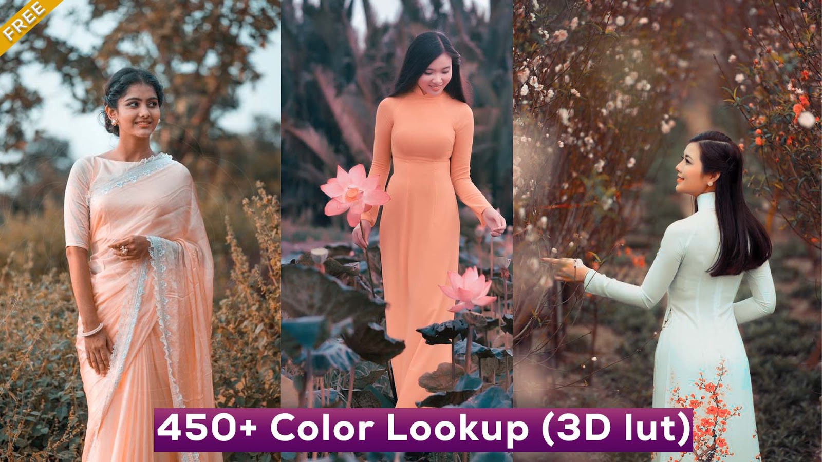 450 Color Lookup 3d Luts Presets For Photoshop Free Download
