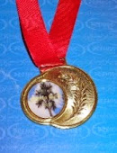 Medalha Prêmio Buriti,