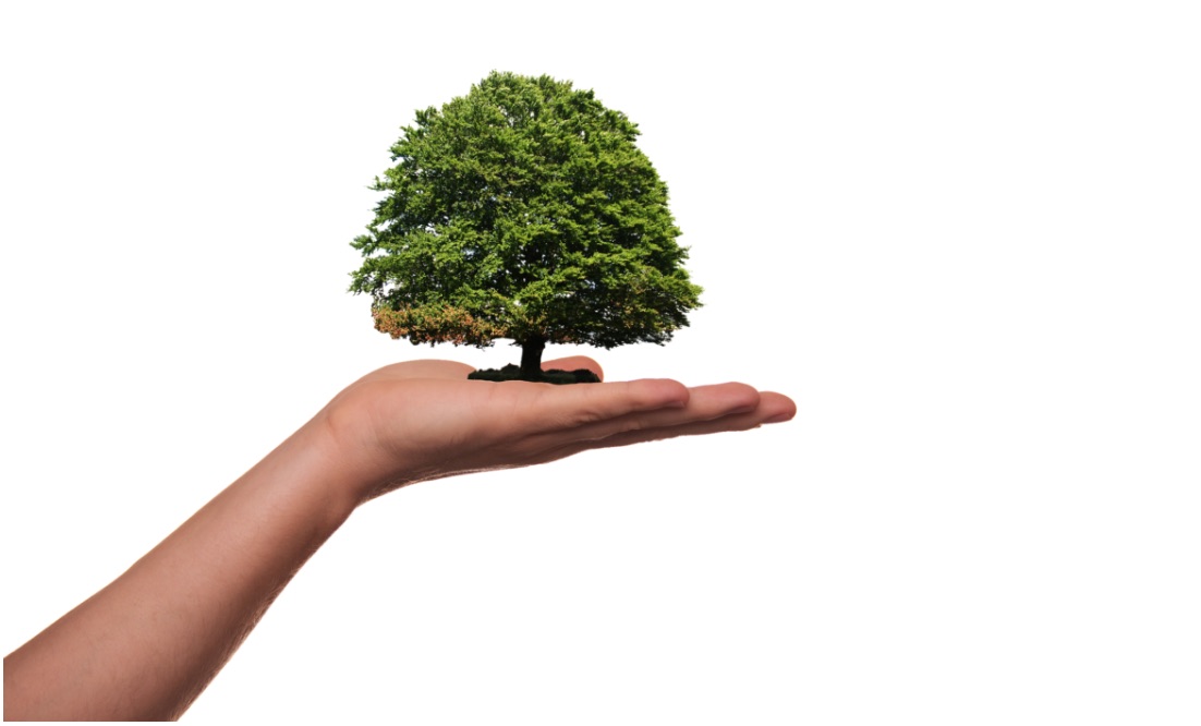 PA Environment Digest Blog PA Land Trust Association/Member Trusts