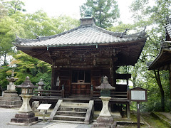 �ΎR�������哰