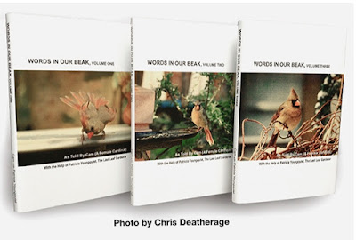 This is a photo of my three volume book series, "Words In Our Beak." Information re the books is another one of my blog  posts @ https://www.thelastleafgardener.com/2018/10/one-sheet-book-series-info.html