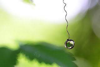 Jungle Tendril Swirl with Water Drop