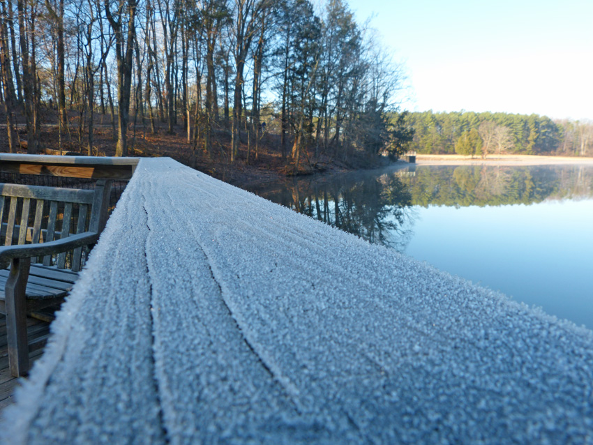 KY Natural Inquirer Jack Frost Visits Kentucky