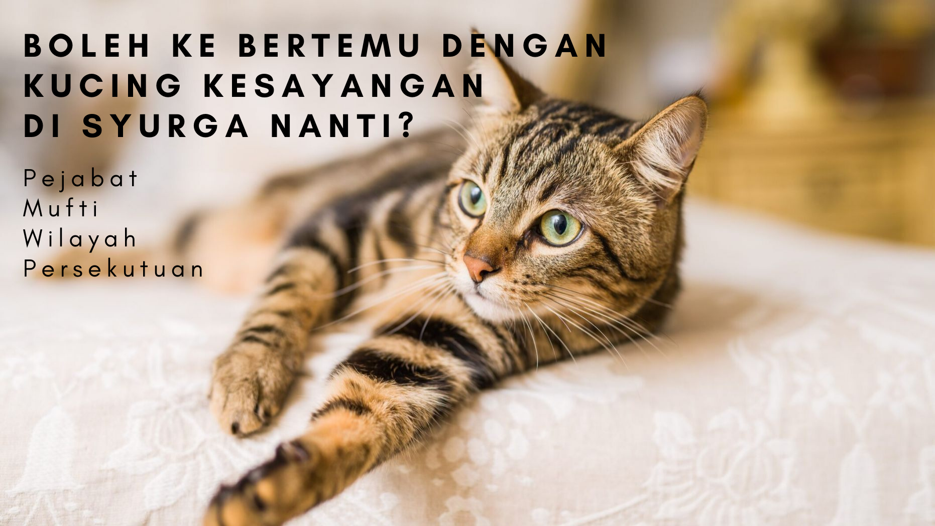 Bnwi6i8ffa6vjm Bnwi6i8ffa6vjm