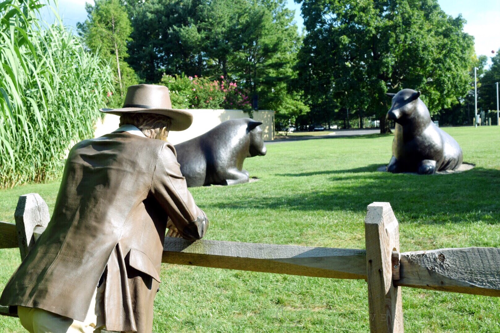 Over The Moony Grounds For Sculpture Hamilton, New Jersey