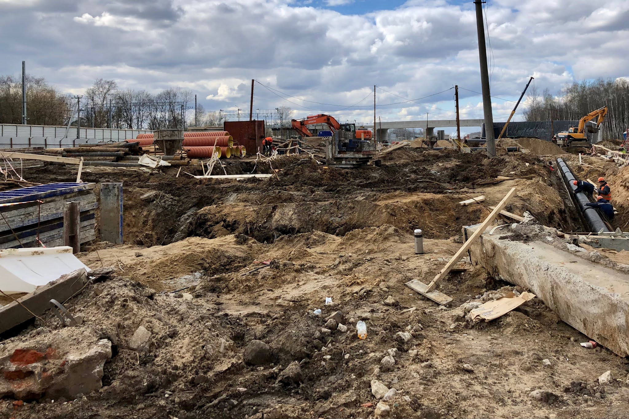 2021: Лосиный остров