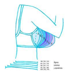 tallas de bralette