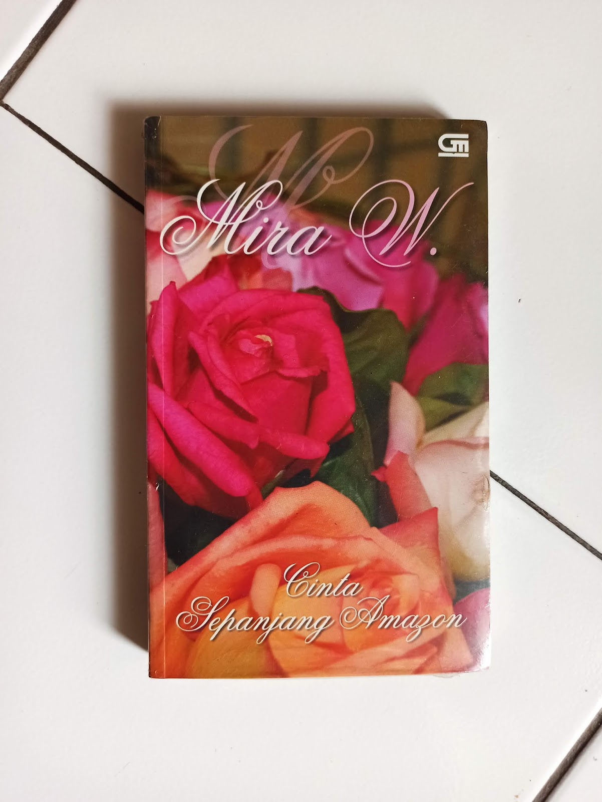 Novel karya Mira W