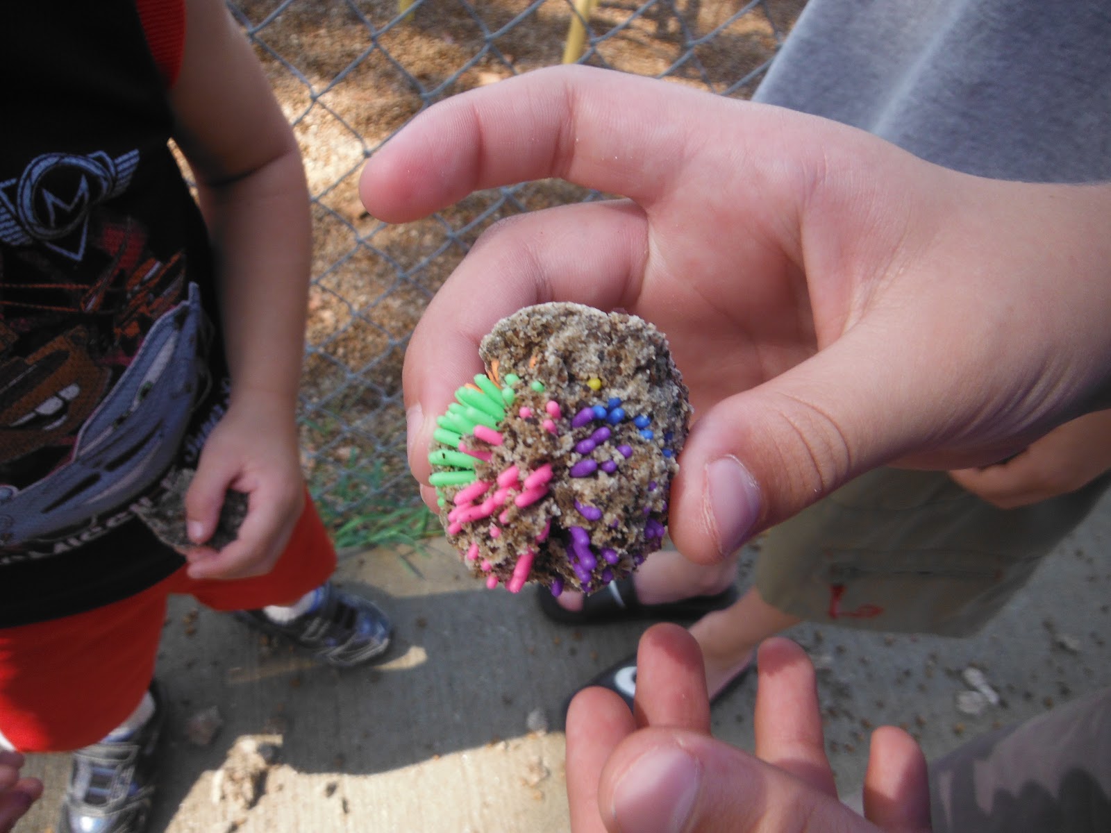 Treasure Rocks Part II - SSSTeaching