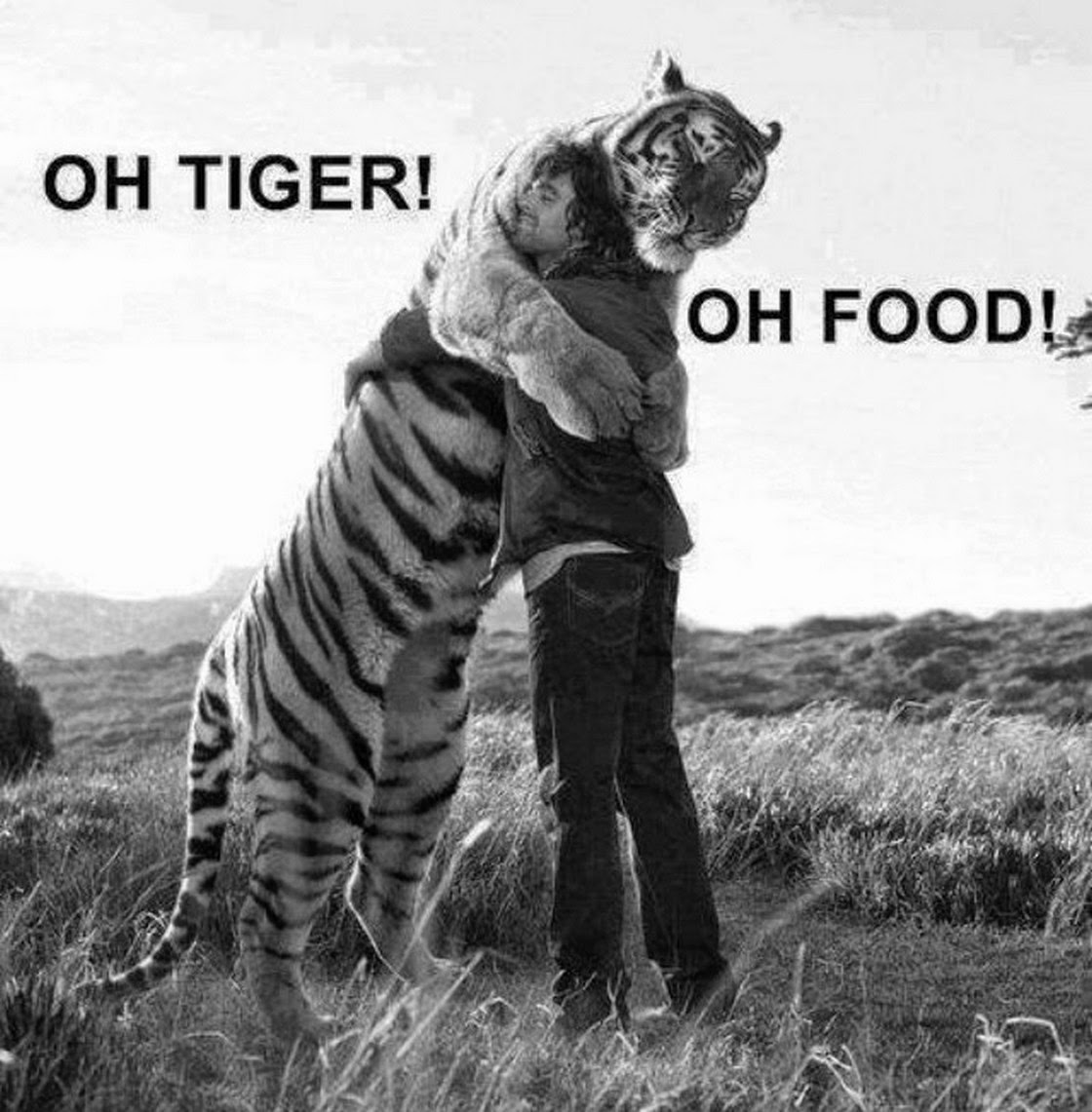 Chuck's Fun Page 2: Just animals - 20 photos