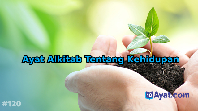 10%2BAyat%2BAlkitab%2BTentang%2BKehidupan