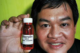 Hormon Tanaman Giberelin 100ml Pembungaan dan Pembuahan