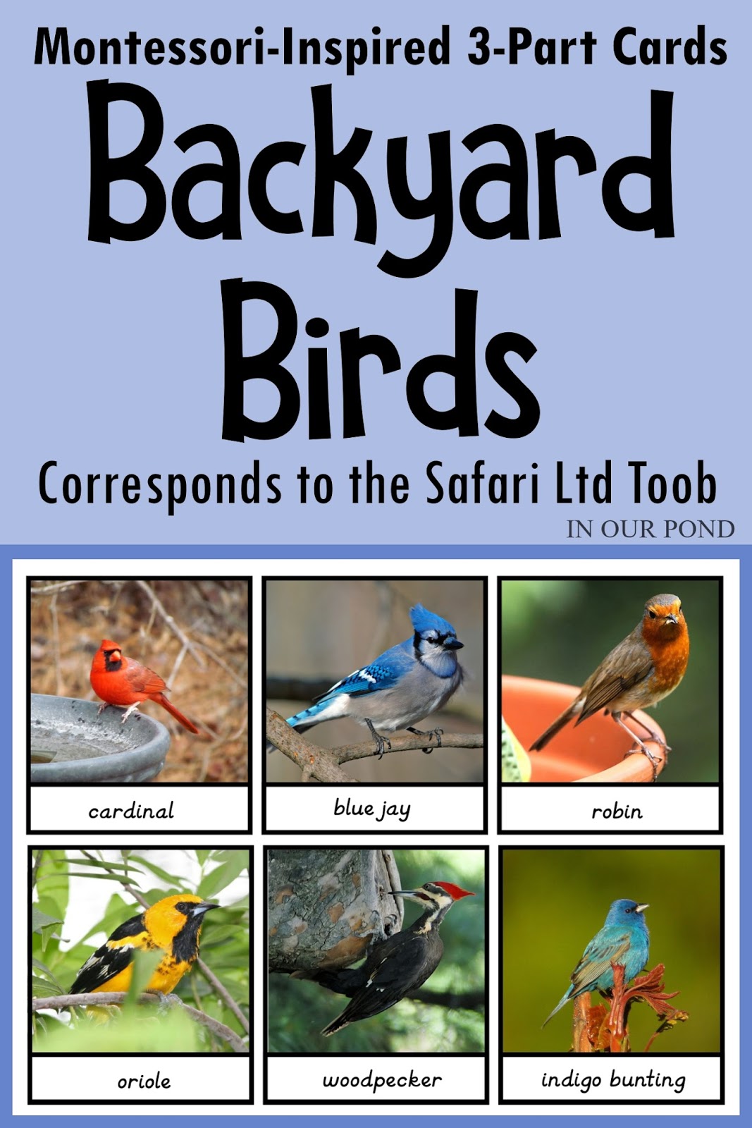 backyard-birds-montessori-matching-cards-ashley-yeh