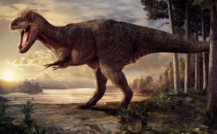 Mengapa Dinosaurus Berukuran Sangat Besar Belajar Sampai Mati