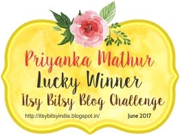 Itsy Bitsy Challenge Winner