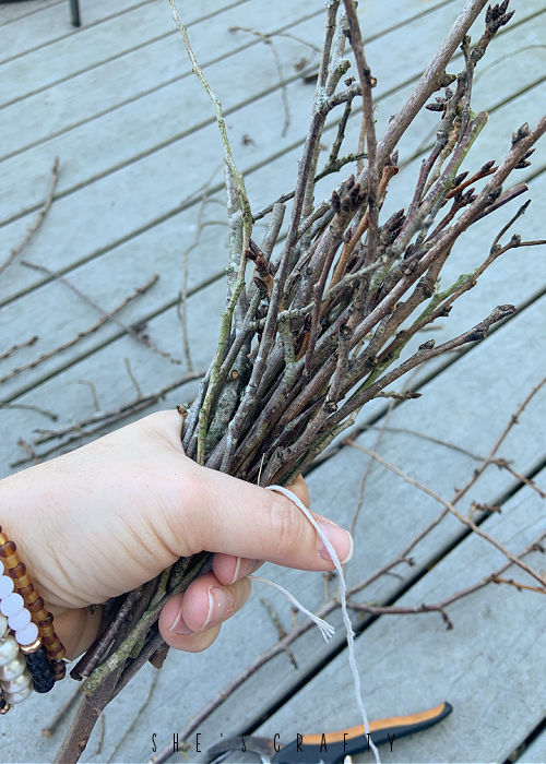 How to make a twig broom for Halloween - gather twigs