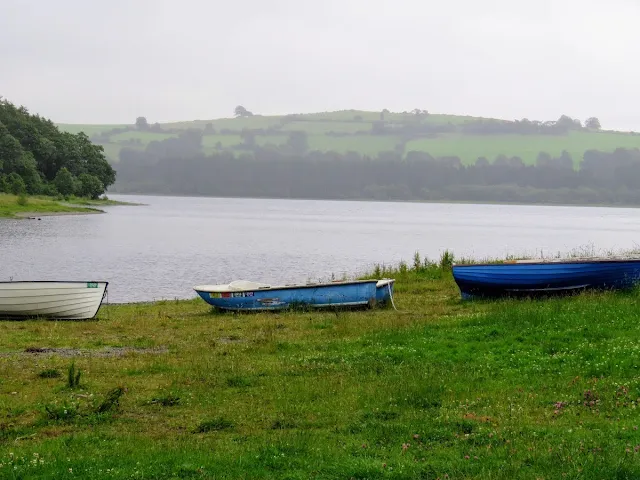 Things to do near Kildare: Blessington Lake