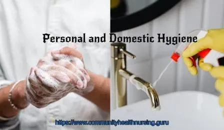 Personal and domestic hygiene ppt in community health