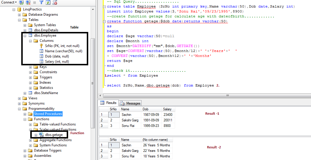 How to use sql function with Linq to Sql ~ Microsoft .Net Expert Call ...