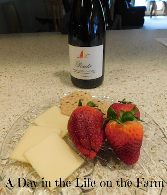 Fruit and Cheese with wine