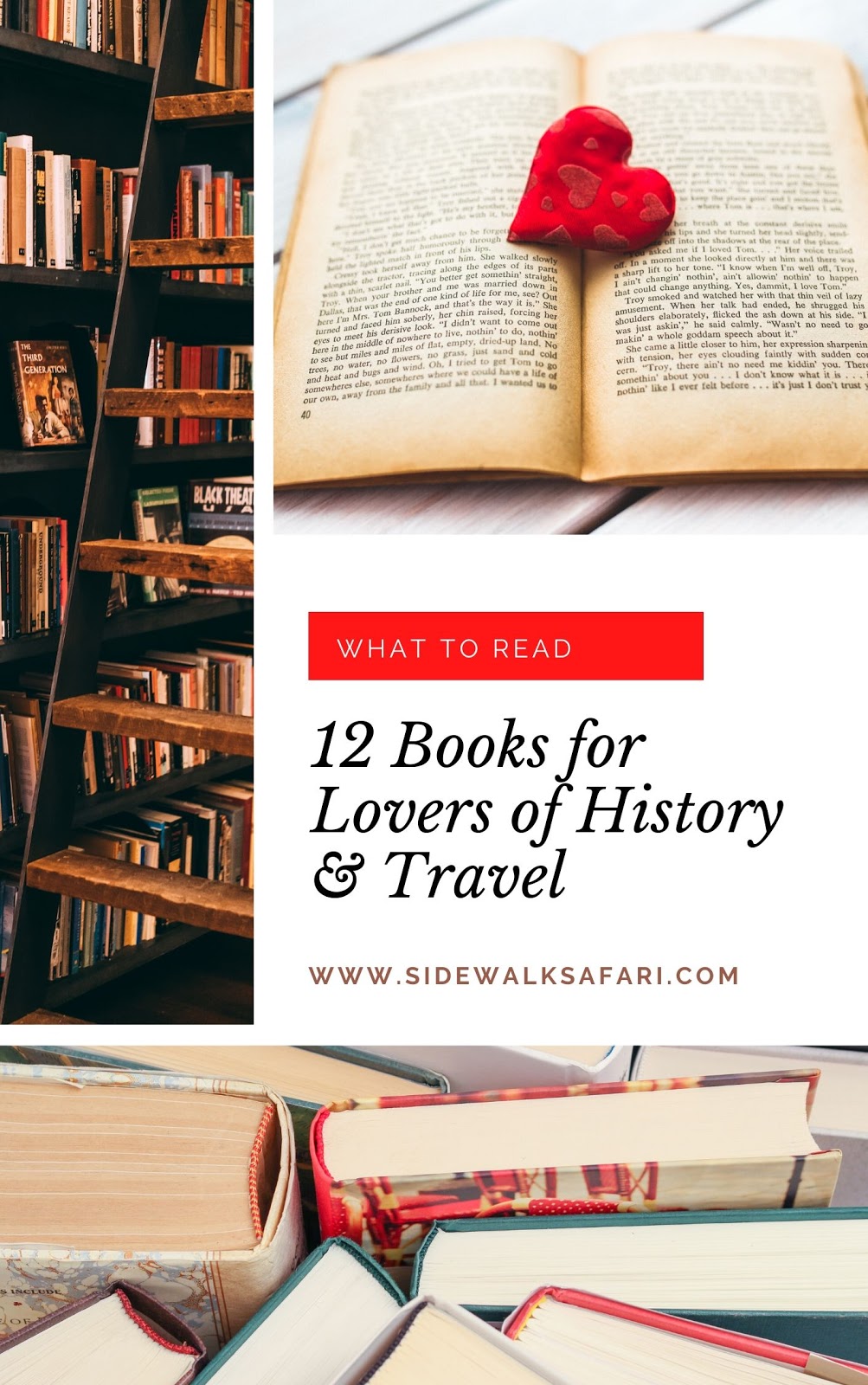 travel history book