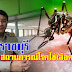 จ.ราชบุรี แจ้งสถานการณ์โรคไข้เลือดออก