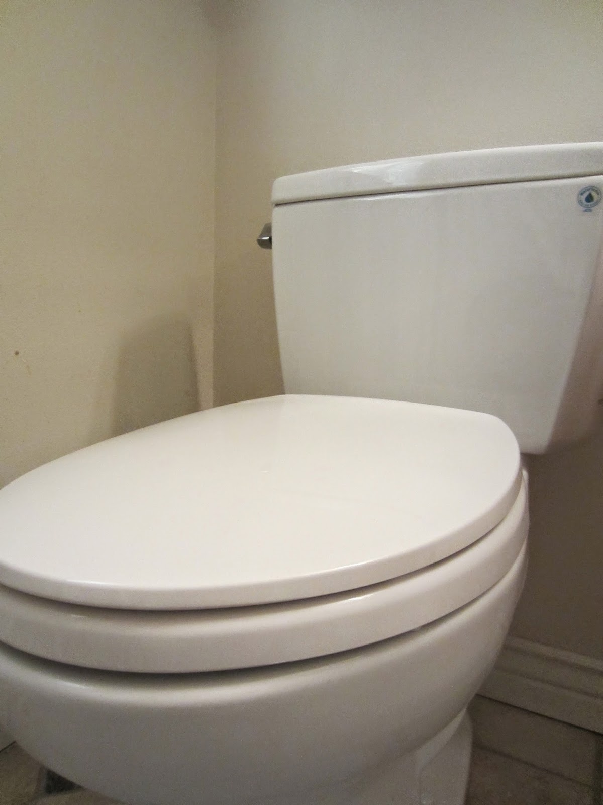 Slow Joe 40yearold virgin; father of 4! Toilet Seat Up or Toilet