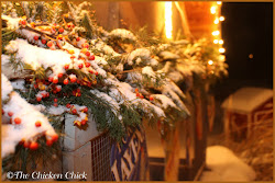 chicken christmas coop coops decorating bright season decorations merry ways around festive chick highlight become functions serve several important them