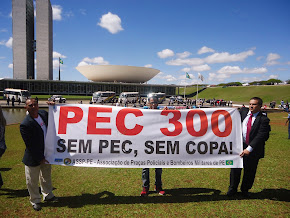 Sgt. Ricardo e companheiros PMs e BMS de todo o Brasil, na luta pela PEC 300 20 e 21/08/13 -foto 2