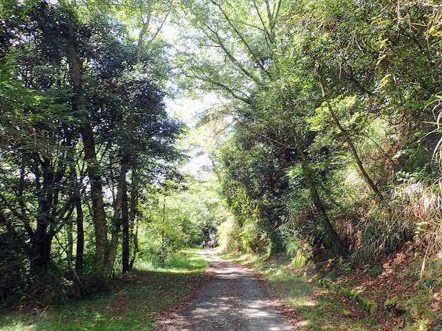 P7231328.JPG