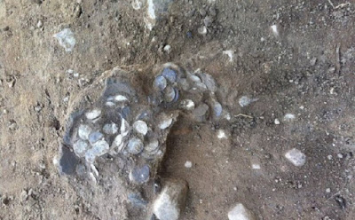 Medieval coin hoard found in Jutland field