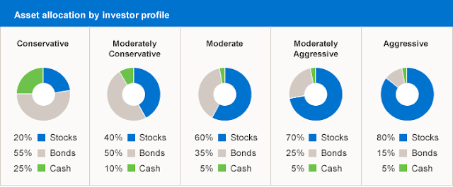Investment Risk Profile
