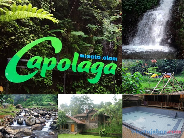 Lokasi, Rute, Fasilitas, Dan Nomor Kontak Wisata Alam Capolaga Adventure Camp, Subang