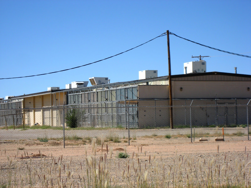 Living Rootless Alamogordo Chimpanzee History