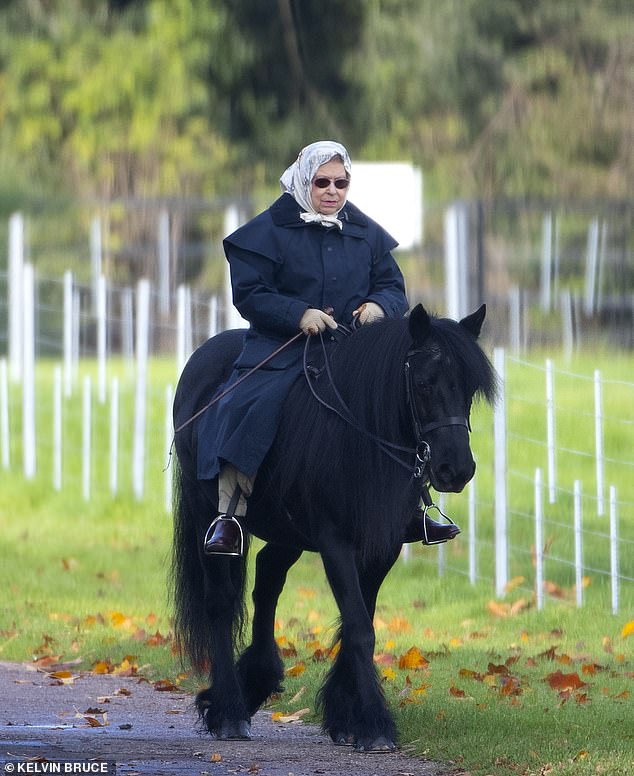 Rainha Isabel II volta a montar a cavalo depois de aparecer publicamente  com uma bengala – Observador