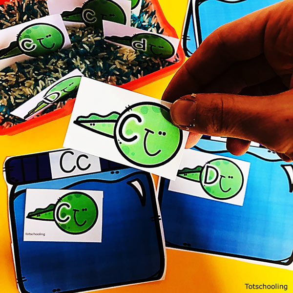 Catching Tadpoles Alphabet Sorting | Totschooling - Toddler, Preschool