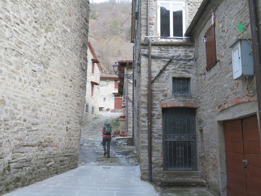 Escursionismo a 360° Da Crespino sul Lamone al passo della Colla (E)