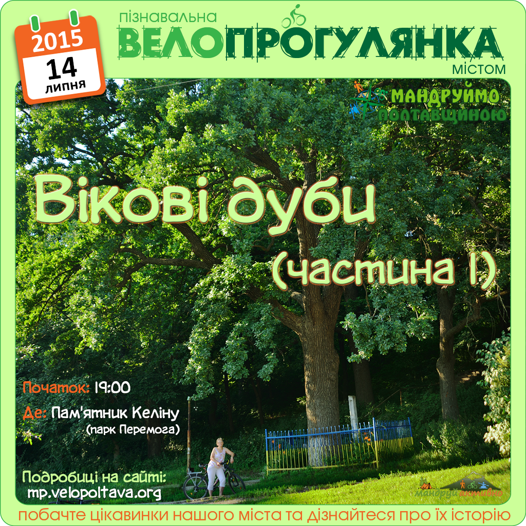 дуб пушистый крым. дубравы (у деревни велькота) ленинградской области. природный заказник дубравы у деревни велькота. дуби дон. дуби.