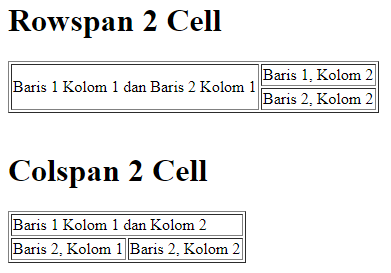 Rowspan dan Collspan pada tabel HTML